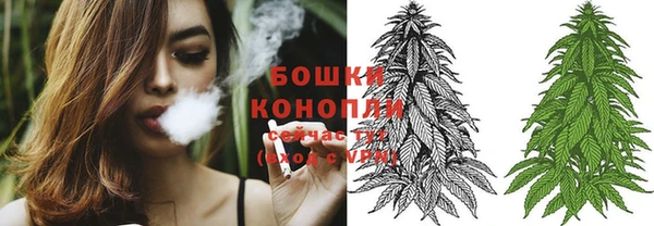 spice Карпинск