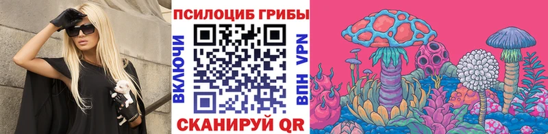 Купить закладки Боготол Псилоцибиновые грибы Psilocybine cubensis