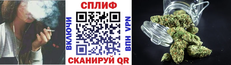 Конопля ГИДРОПОН Боготол